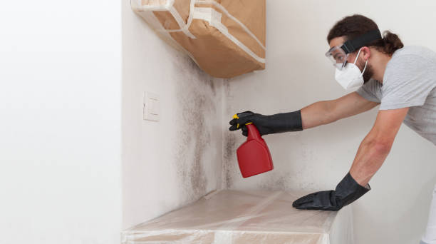 Professional Mold Remediation technician working in Rawlings, MD
